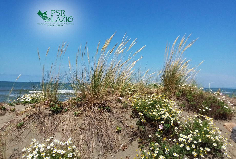 Foto di Francesca Buffi