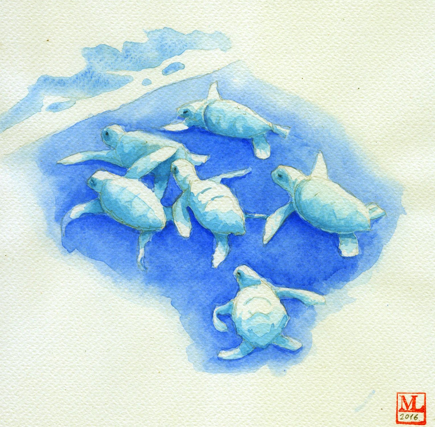 Disegni di Luca Marini