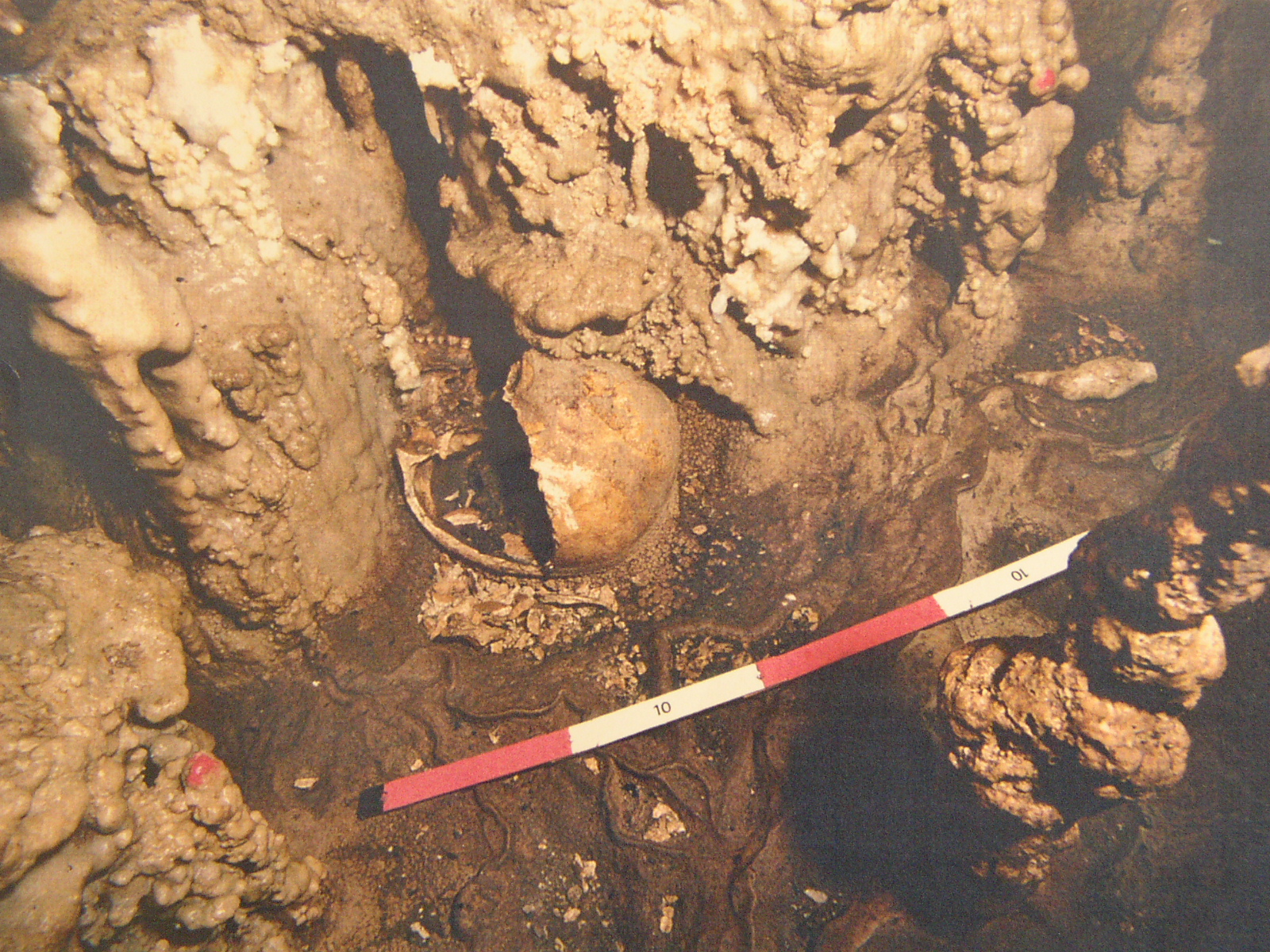 sale interne con reperti umani neolitico antico