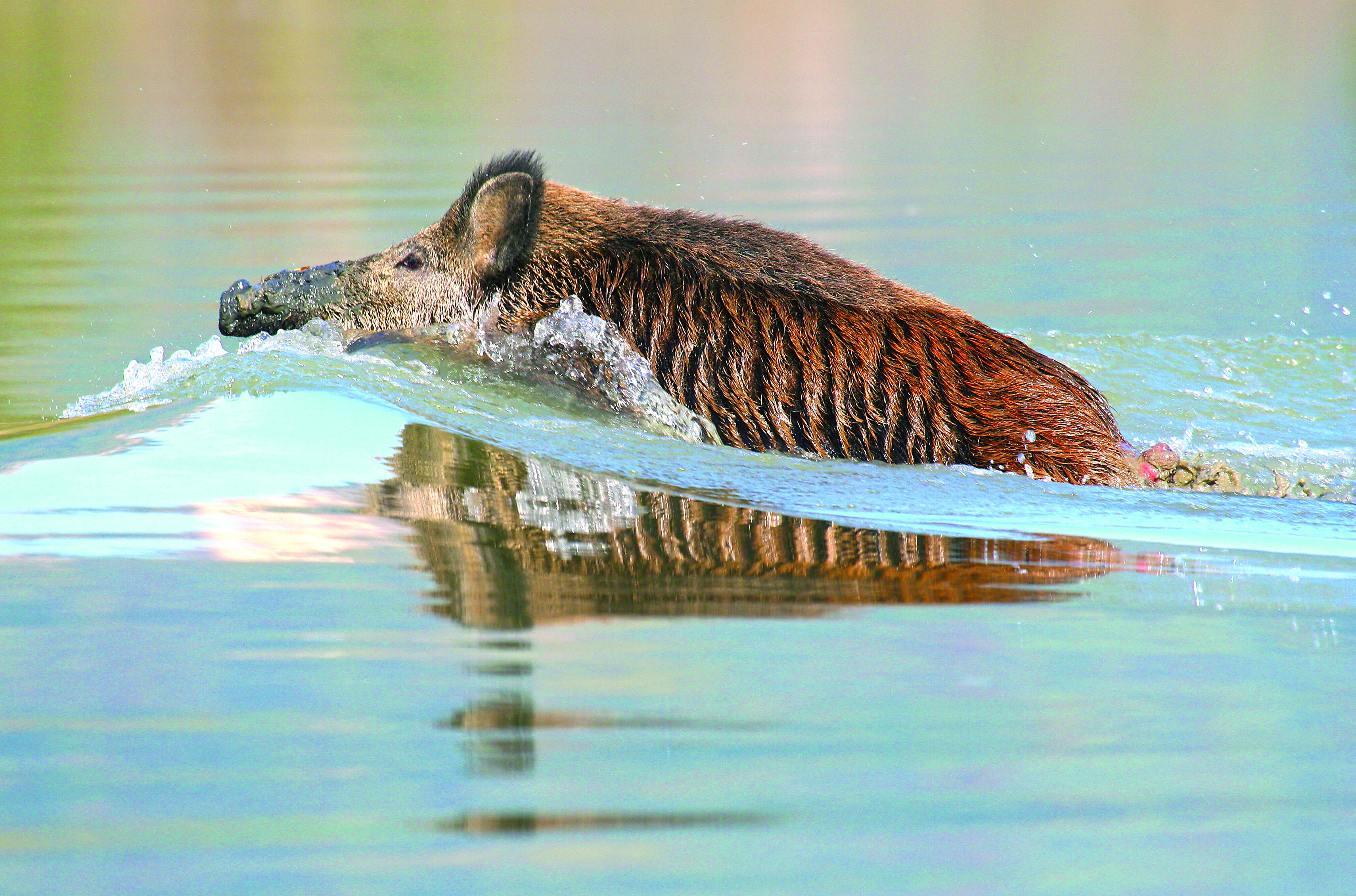 Foto di Christian Angelici