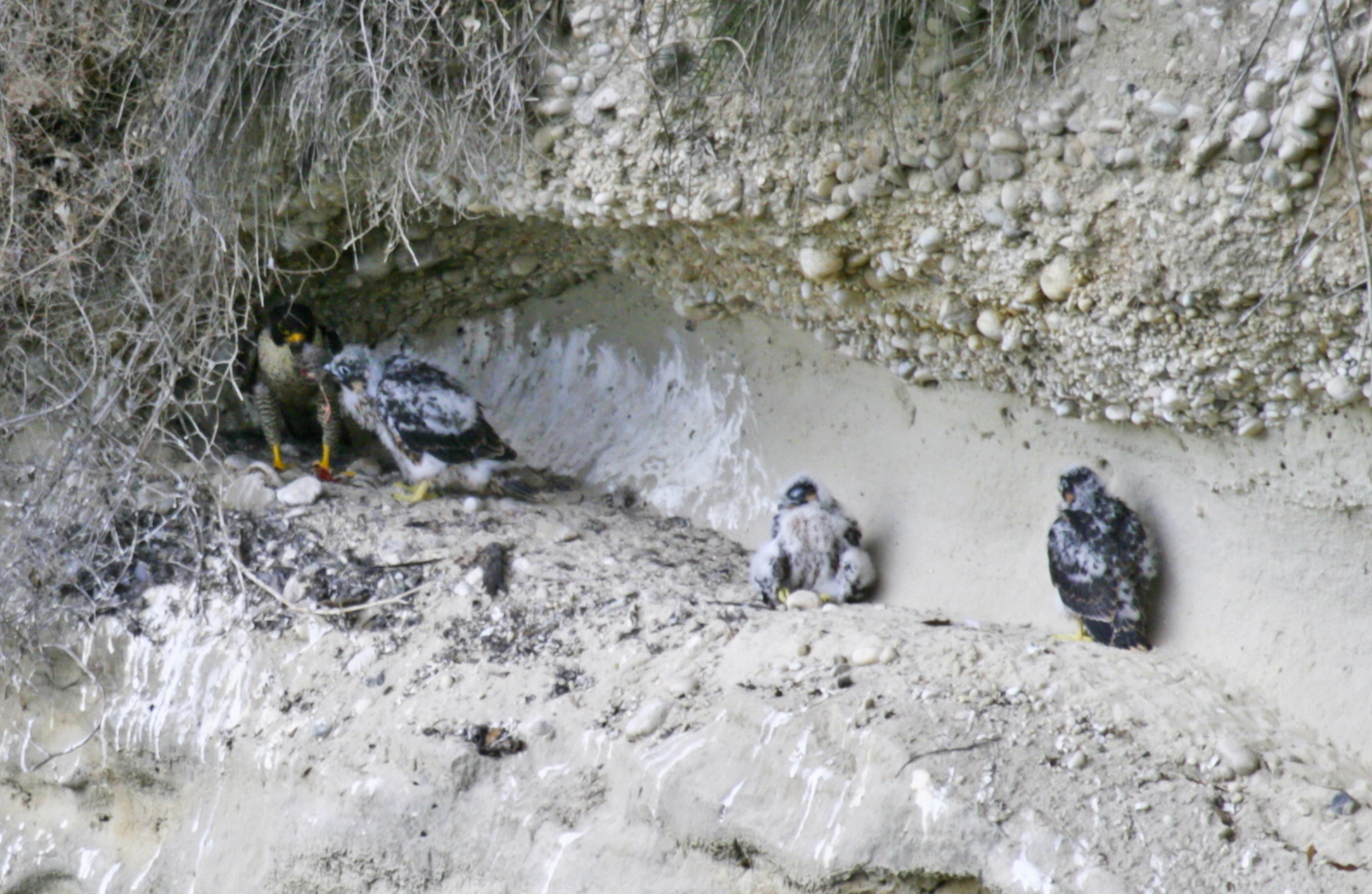 Foto di Christian Angelici