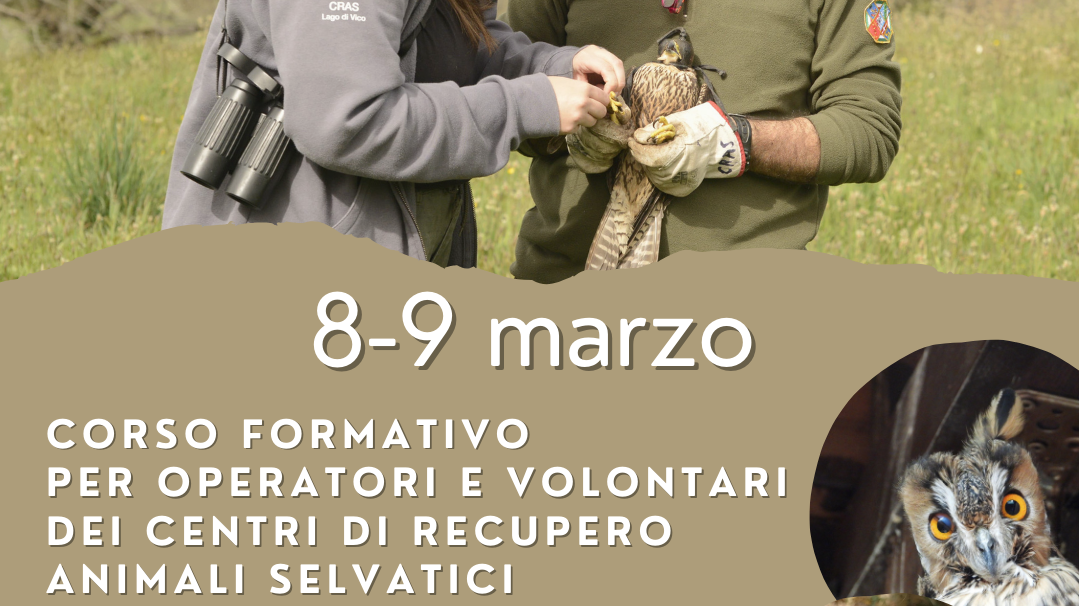 Corso per operatori e volontari dei Centri di Recupero Animali Selvatici: posti esauriti