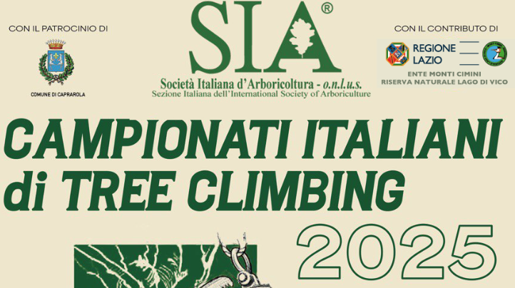 Nella Riserva Naturale Lago di Vico i Campionati Italiani di tree climbing