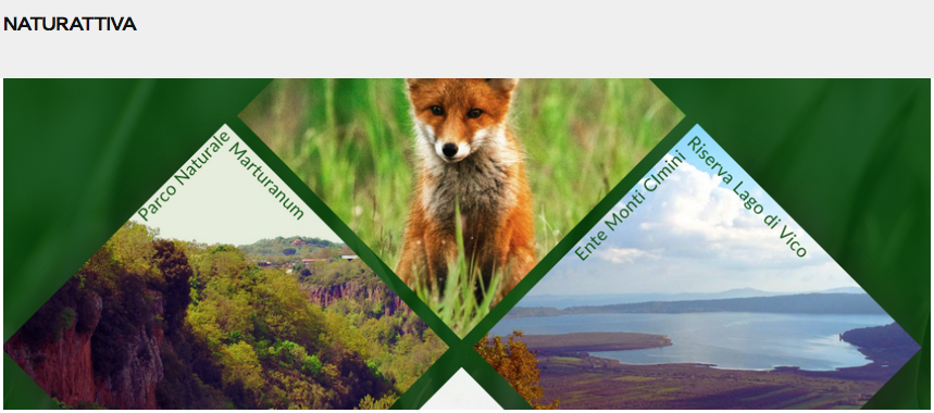 Il Bando 2026 per svolgere il Servizio Civile Universale presso l'Ente Monti Cimini - Riserva Naturale Lago di Vico