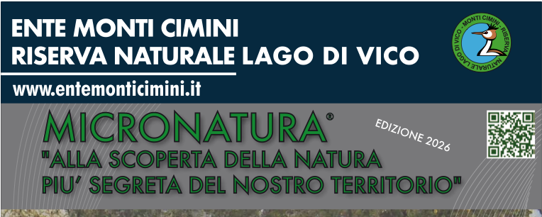 MICRONATURA: un affascinante viaggio tra le meraviglie dell'invisibile