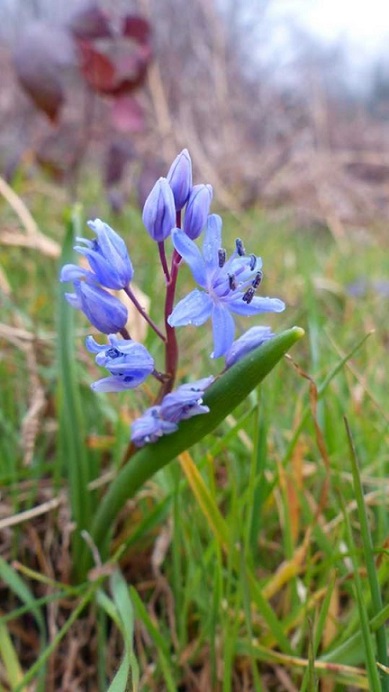 Foto di Riccardo Caldoni