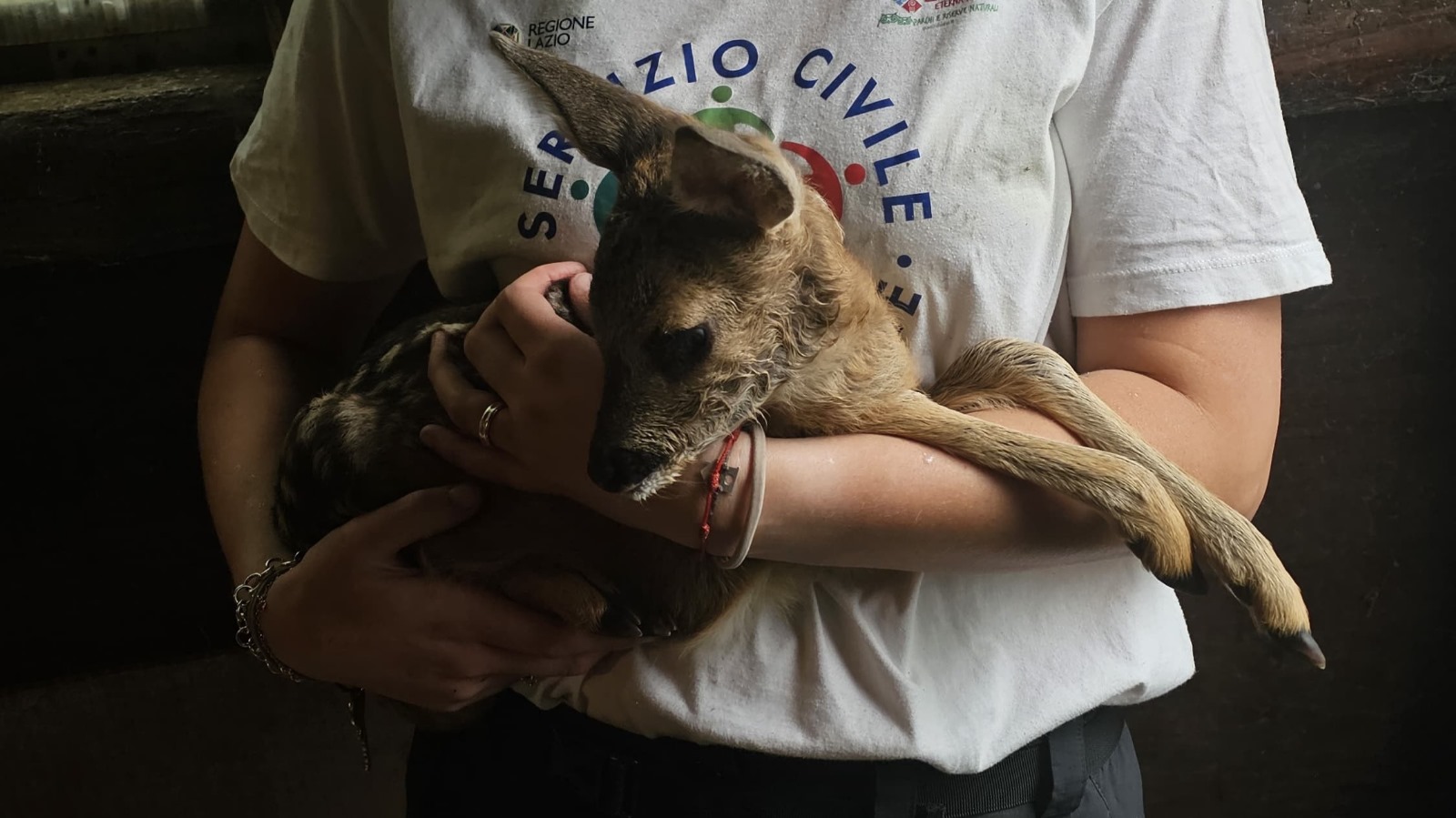 Servizio Civile Universale - Un giorno da volontari al Parco Faunistico Abatino