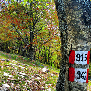 I sentieri del Parco