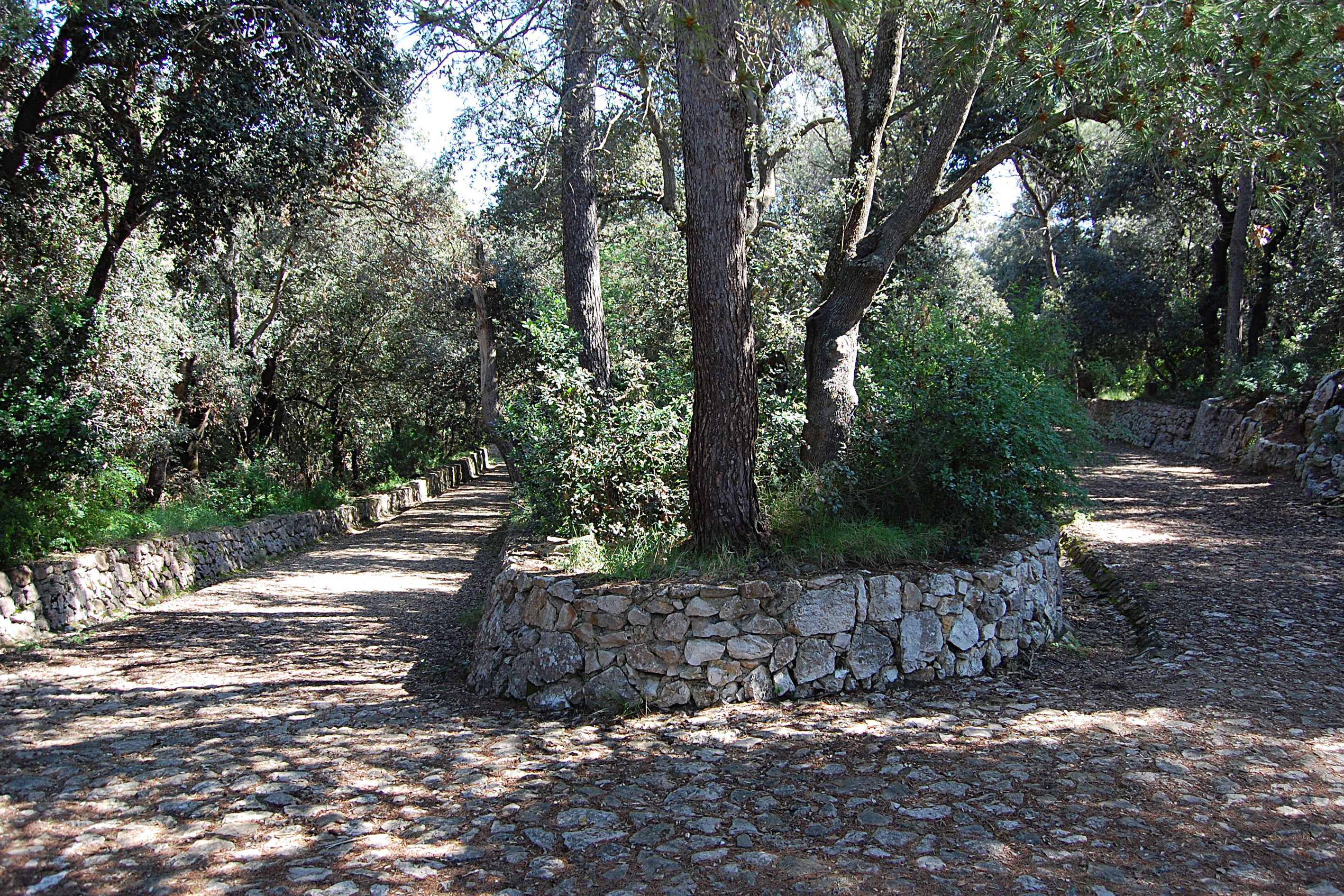 Itinerario al Sentiero delle falesie