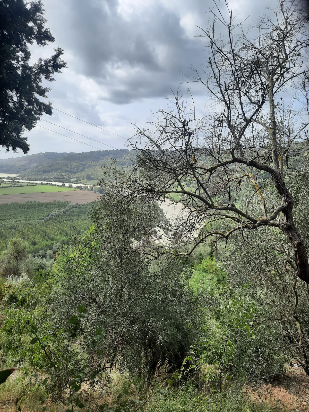 CAI 294A Area picnic Tevere n° 7 - Parcheggio La Cesa SP40b