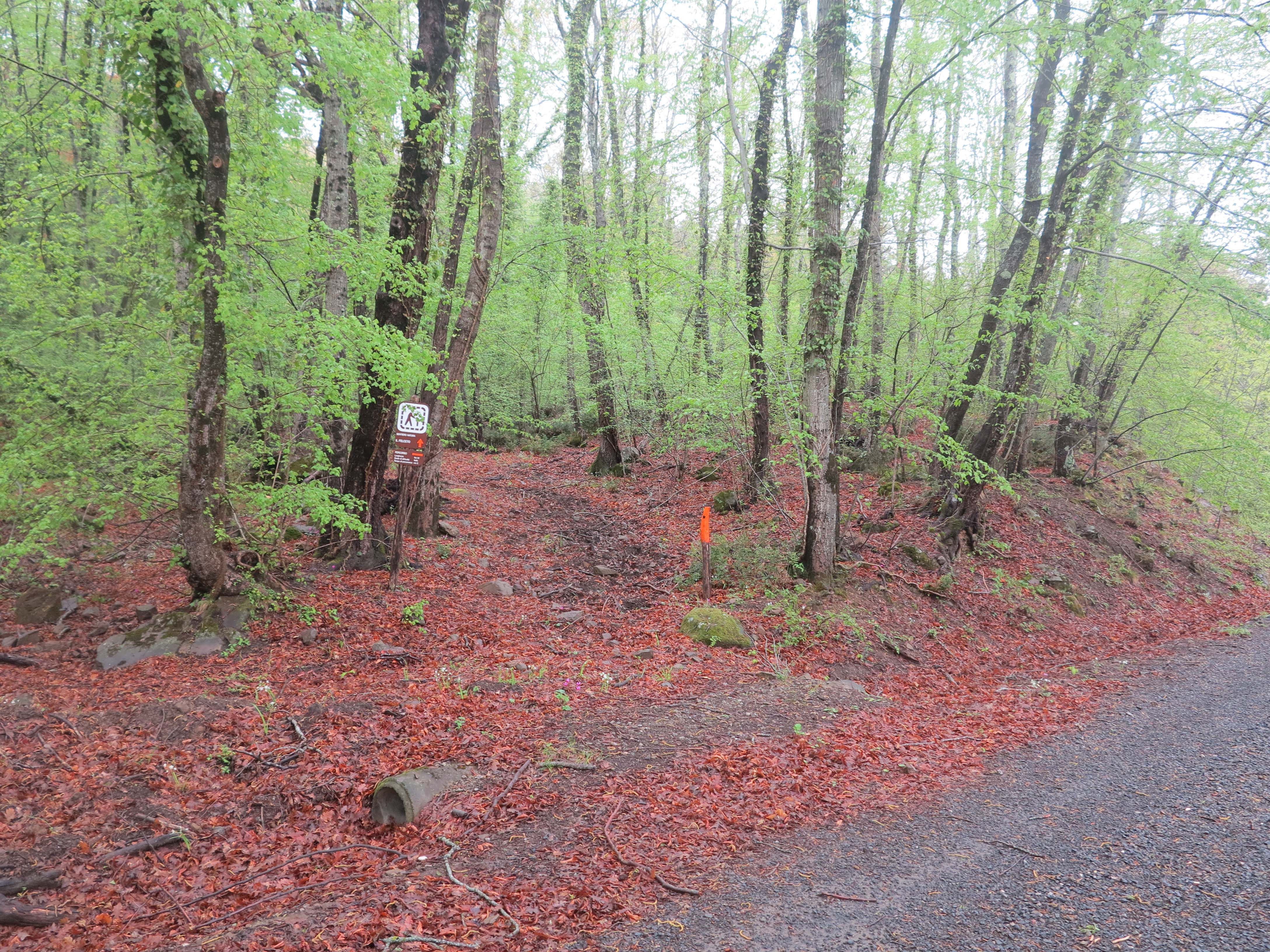 Sentiero Natura "Felceto"