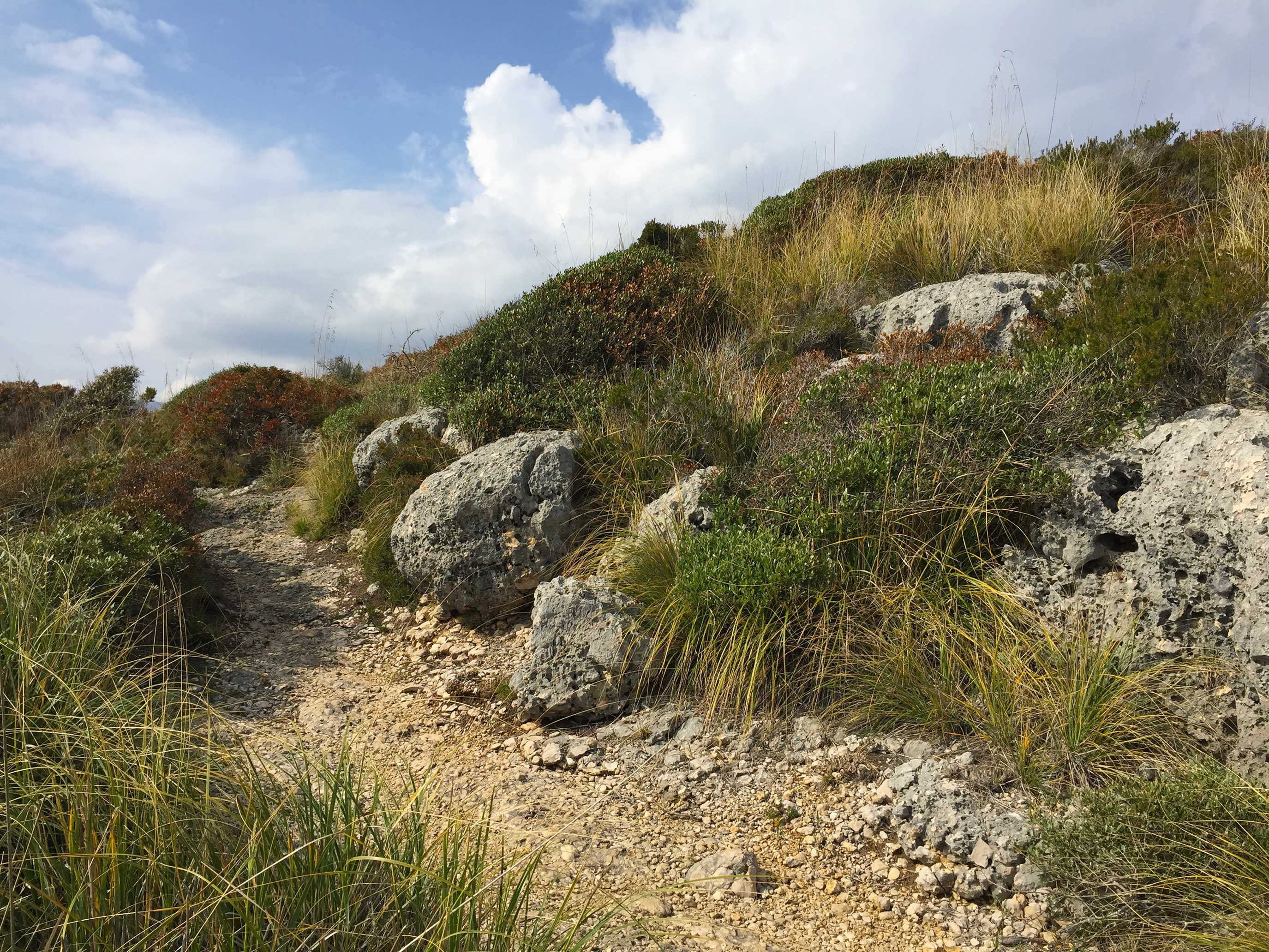 Itinerario costiero Porto Cofaniello
