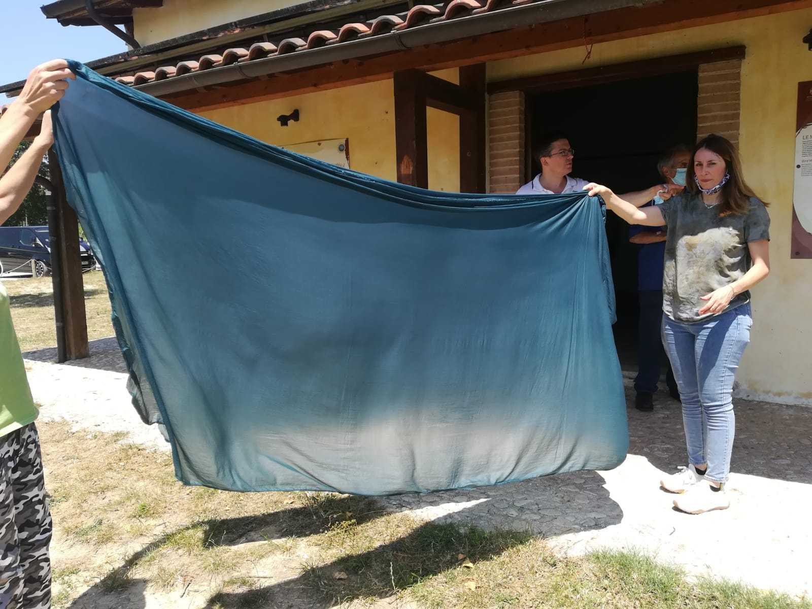 Seta tinta con il guado