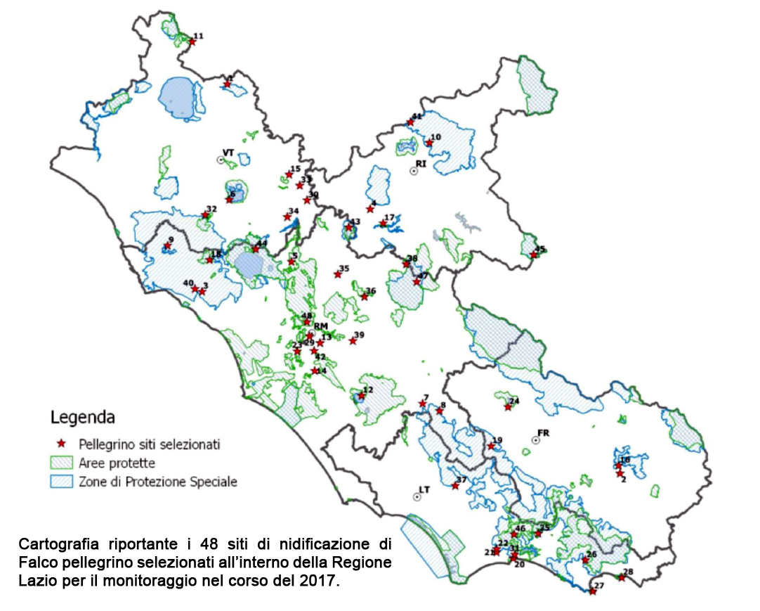 Rete Regionale di Monitoraggio dei Rapaci Rupicoli del Lazio (aggiornamento 2016)