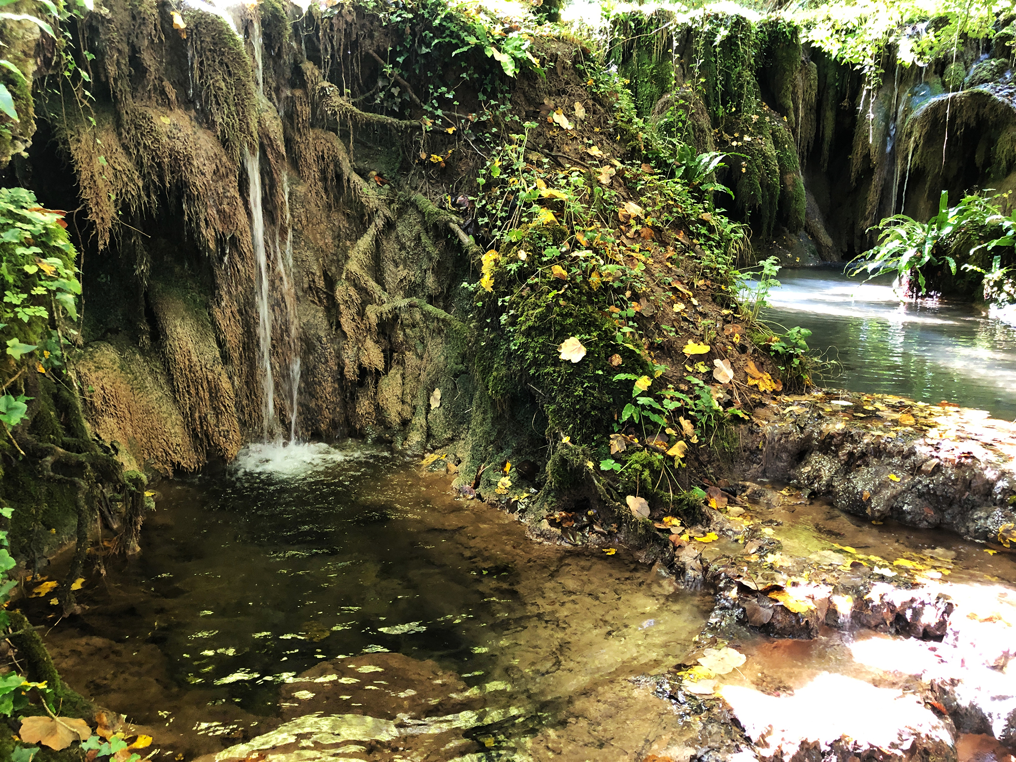 Rete Natura 2000-Habitat 7720*<br /> Sorgenti pietrificanti con formazioni di travertino