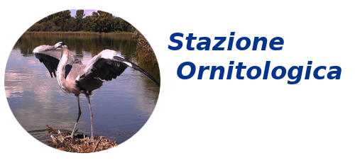 Status della Volpe (Vulpes vulpes) e distribuzione delle tane all'interno della Riserva dei laghi Lungo e Ripasottile