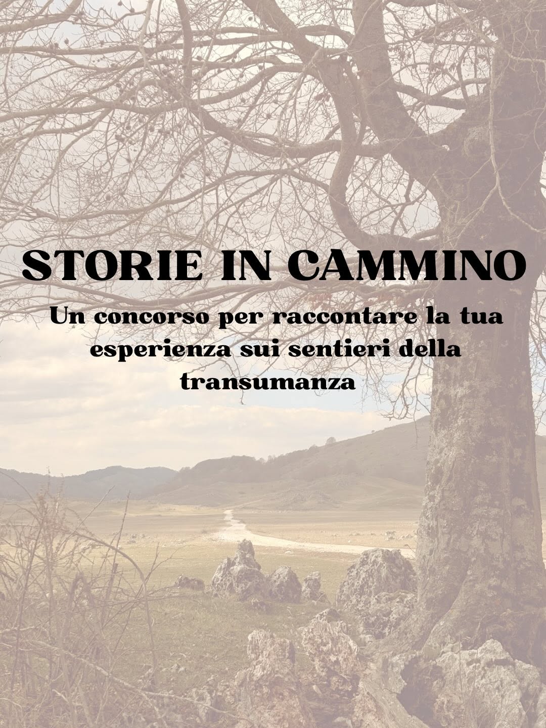 Mettiti in cammino e racconta la tua storia