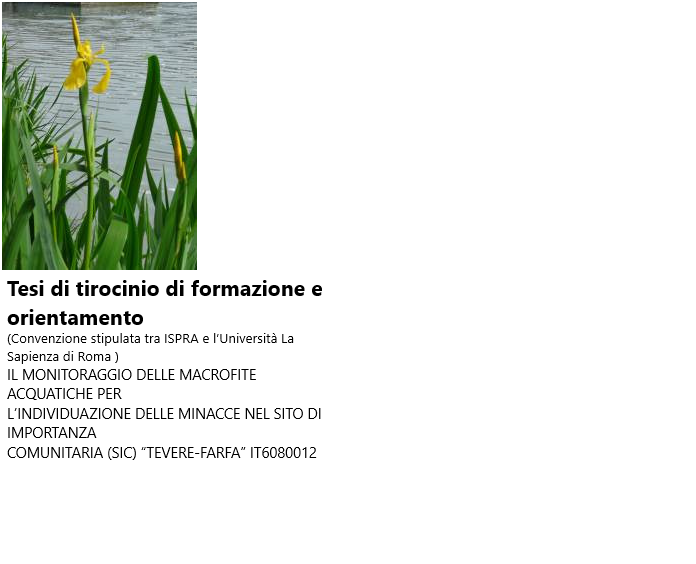 Il monitoraggio delle macrofite acquatiche per l'individuazione delle minacce nel sito di importanza comunitaria (SIC) "Tevere-Farfa"