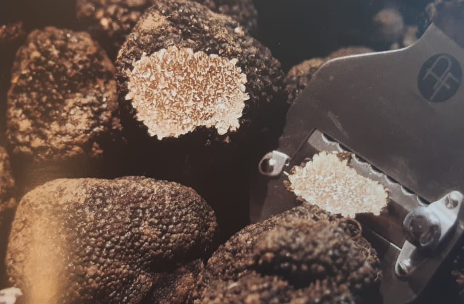Tartufo di Campoli Appennino