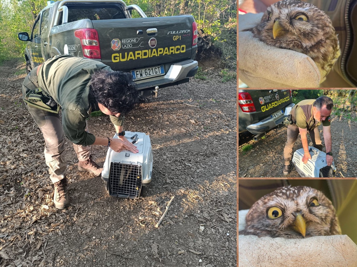 Interventi di tutela della fauna selvatica