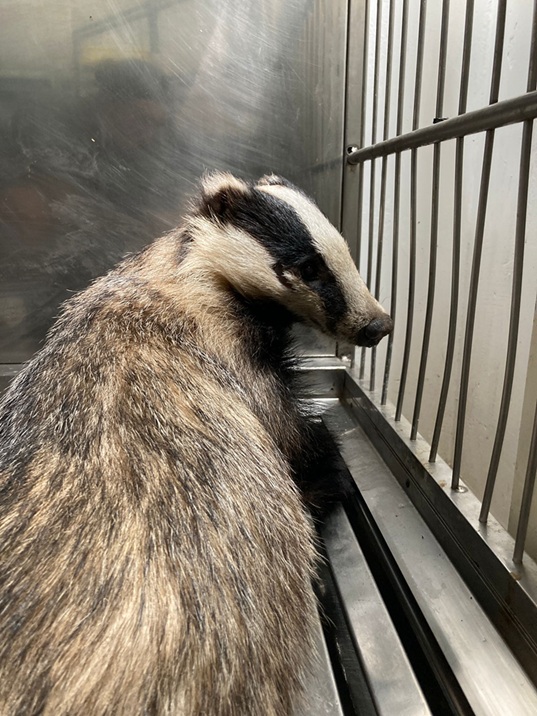 Sicurezza e conservazione dell'ambiente