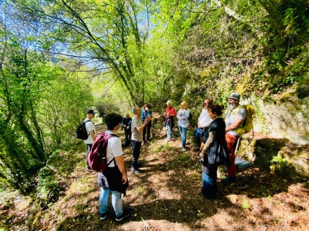 Teatro Natura Trek - Foto AUT_vitasottoglialberi