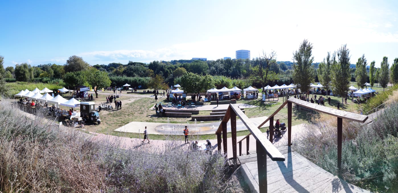 Parco Tevere Sud della Magliana