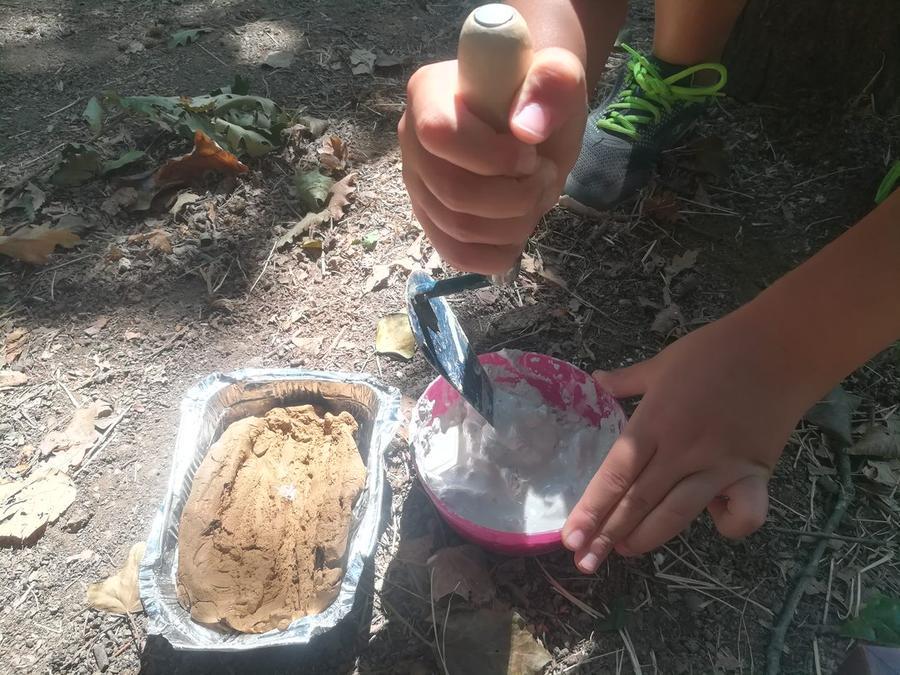 Laboratori nel Parco - foto Viaggiare in Natura
