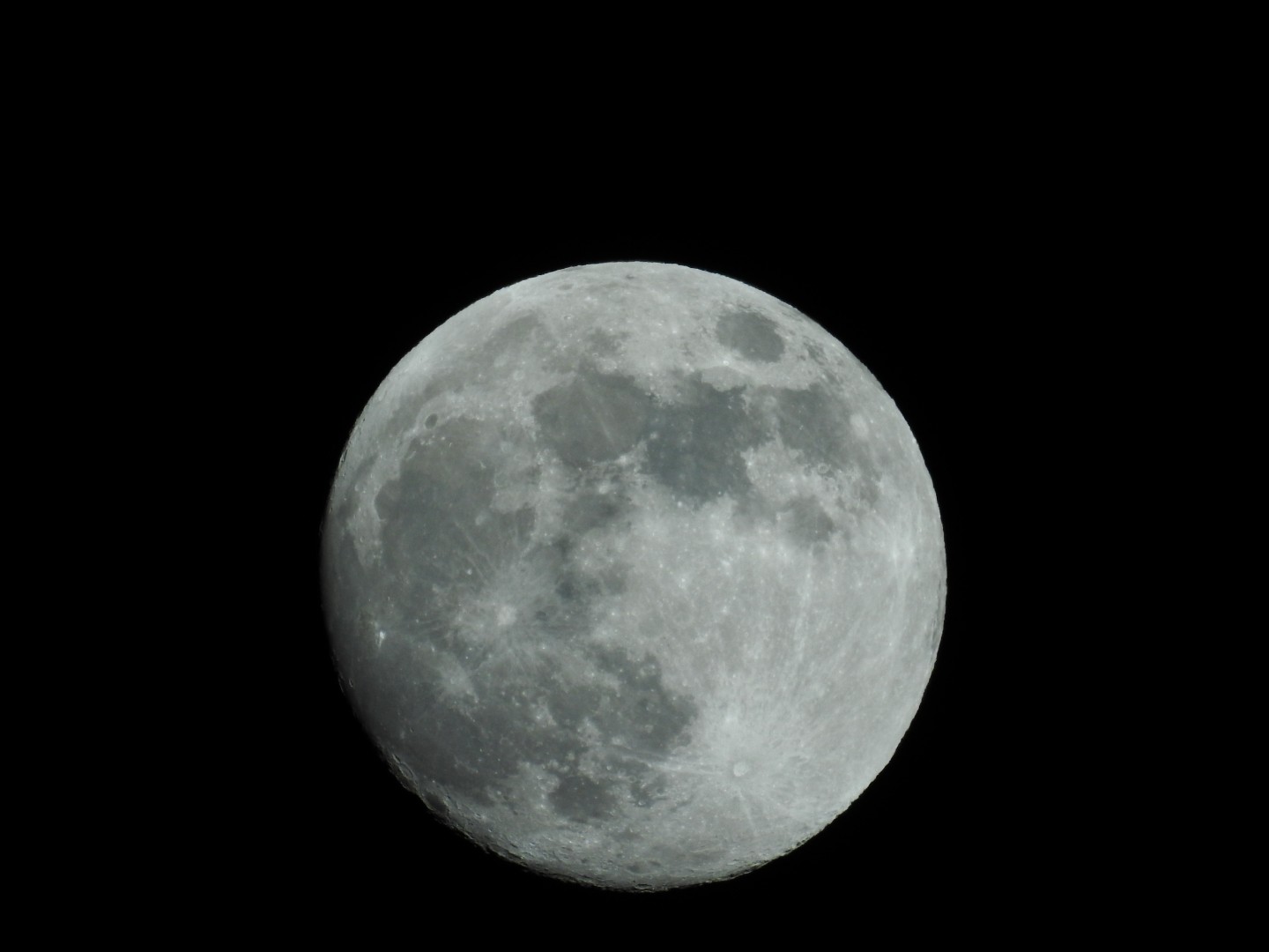 foto di Stefano Tocchio