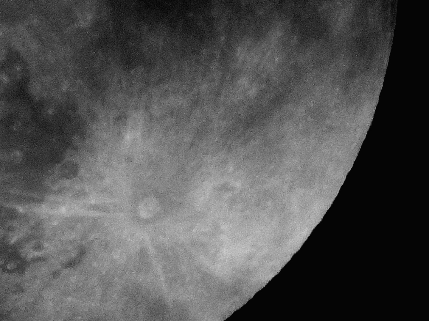 foto di Stefano Tocchio