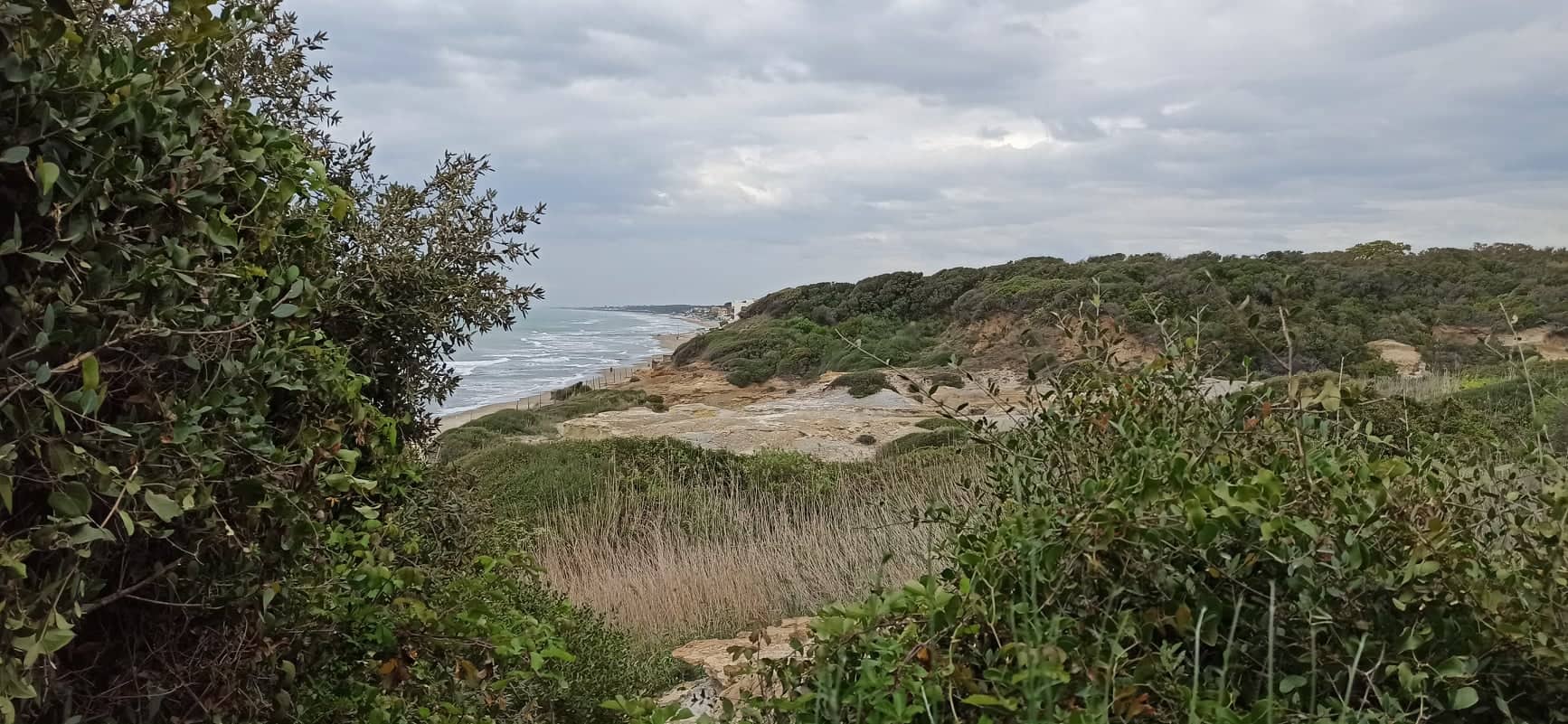 La Riserva di Tor Caldara riapre tutti i fine settimana