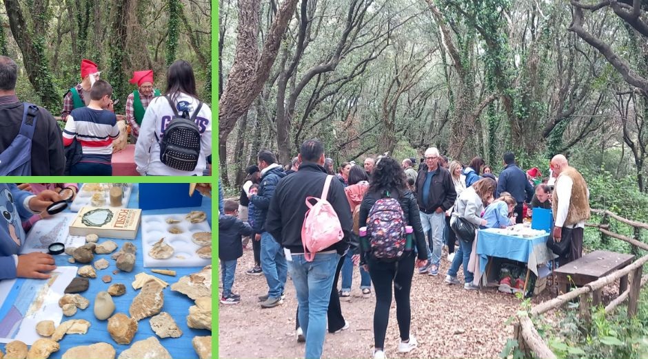 Il Museo del Bosco nella Riserva di Tor Caldara