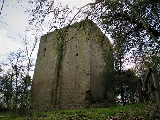 La torre di Santa Maria di Castelvecchio - foto Thesan