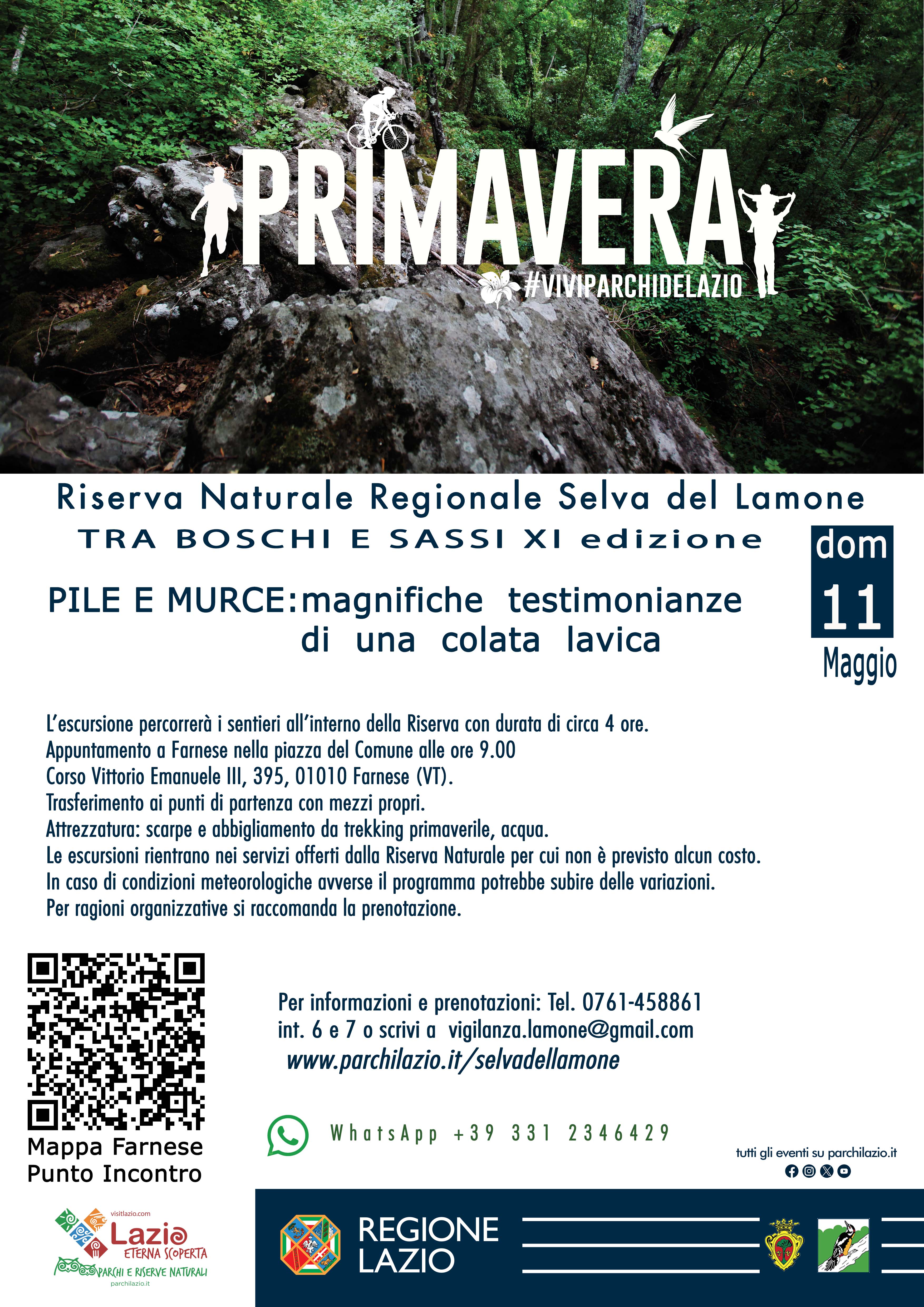 TRA BOSCHI E SASSI XI edizione