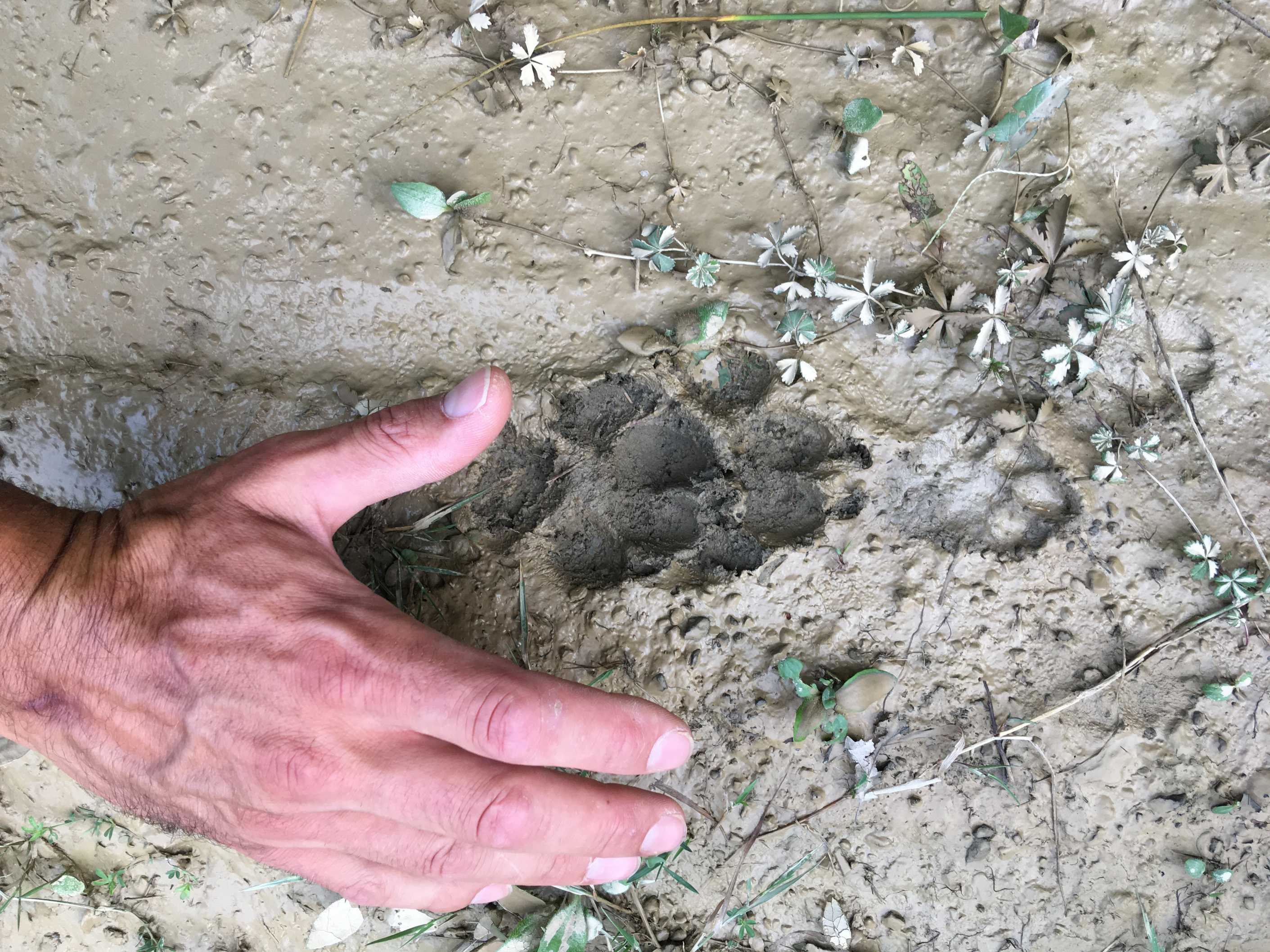 Natural Tracking sulle tracce della Natura