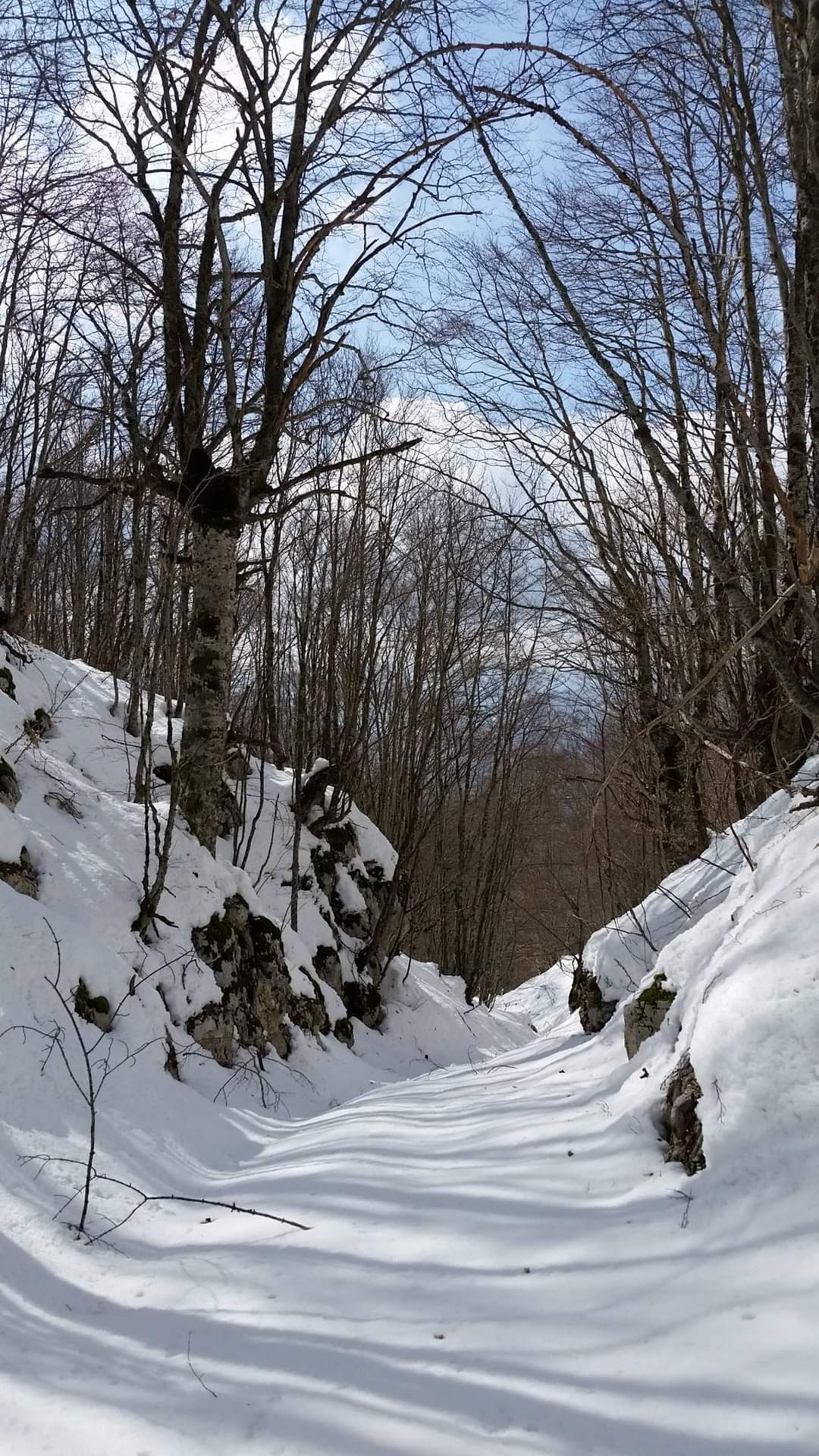 Tratto della Valle della Cesa in inverno