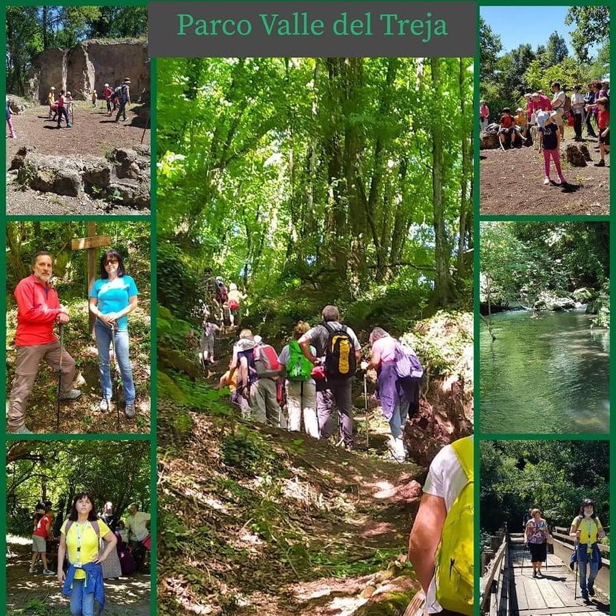 Foto Midas Art e Craft