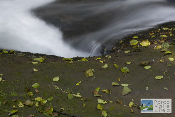 Fiume Treja - foto Archivio Parco