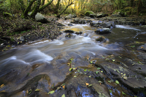 Fiume Treja - foto Giulio Ielardi