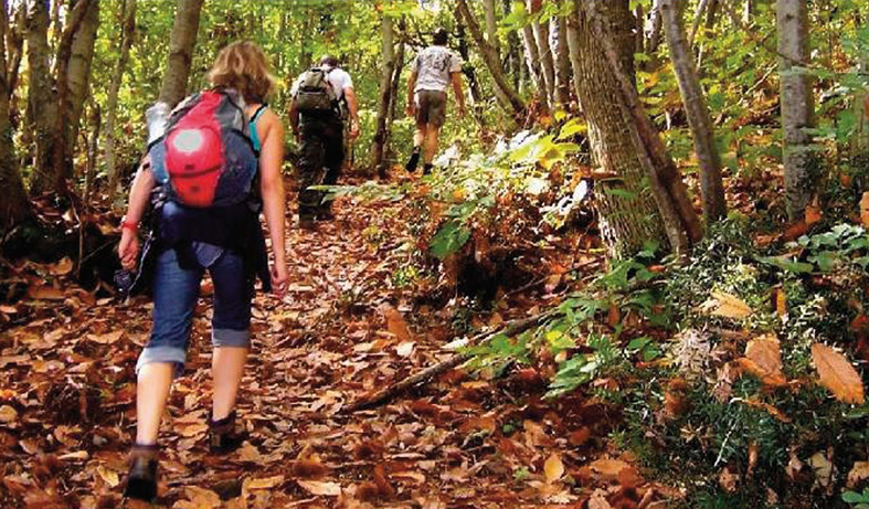 Il bosco e i suoi racconti: una mattinata rigenerante in natura per adulti e bambini - TESORI NATURALI 2025