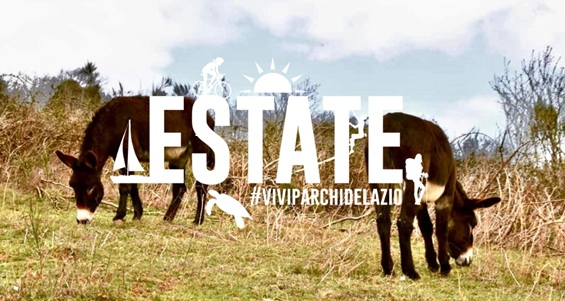 Trekking in compagnia degli asinelli