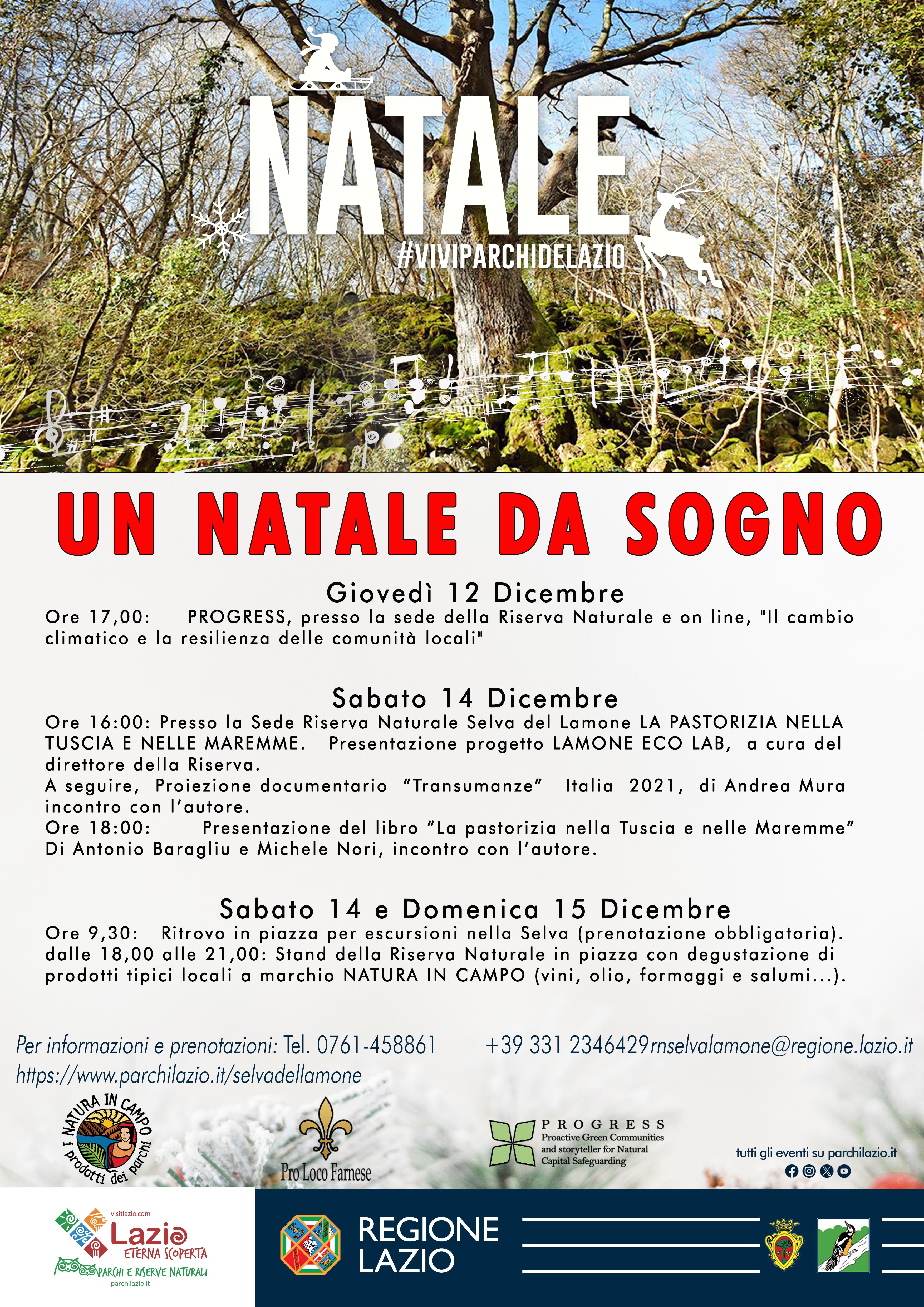 UN NATALE DA SOGNO