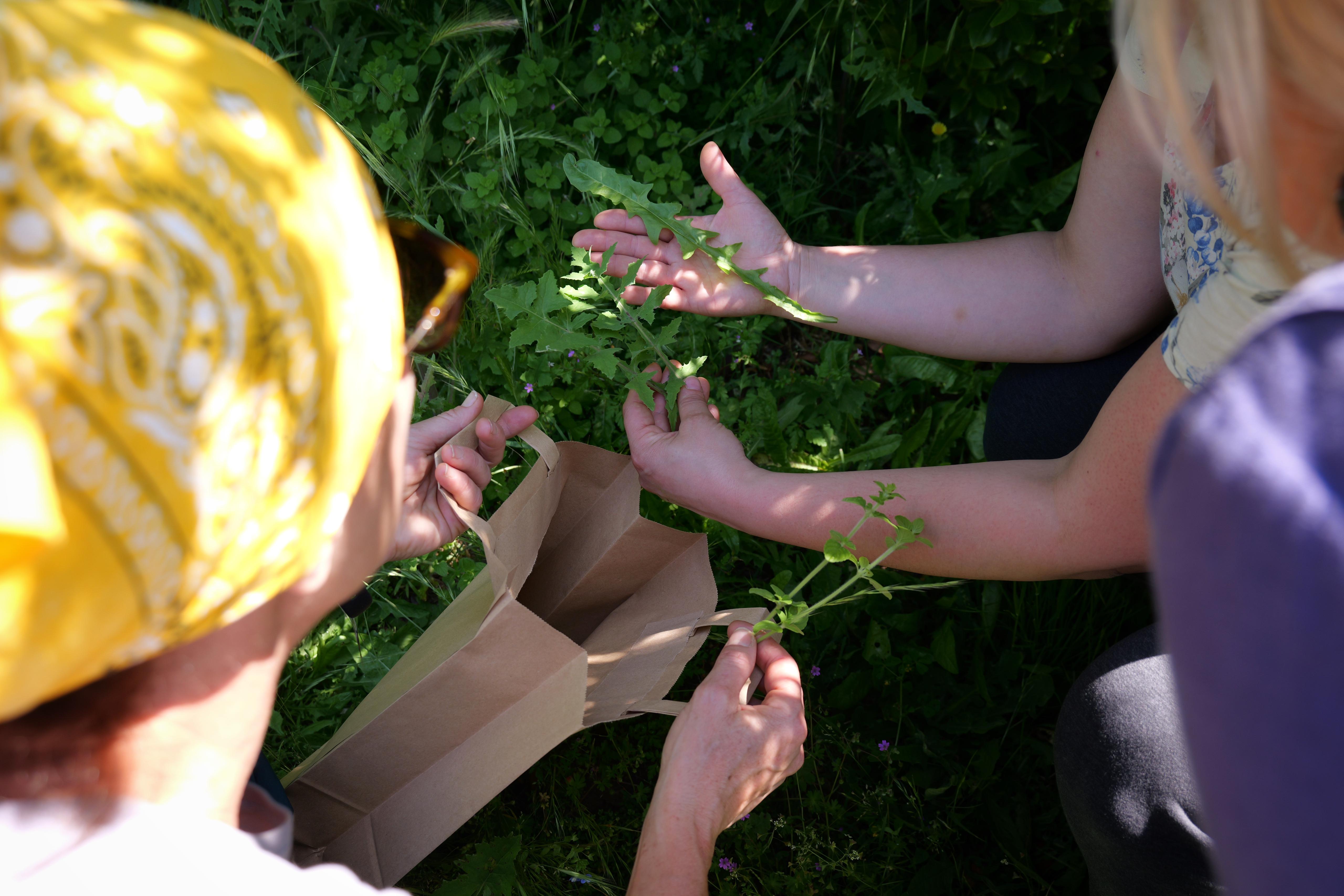 ELENCO DEGLI OPERATORI PER L'EDUCAZIONE AMBIENTALE ACCREDITATI