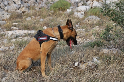 Fotografia dal sito gransassolagapark.it