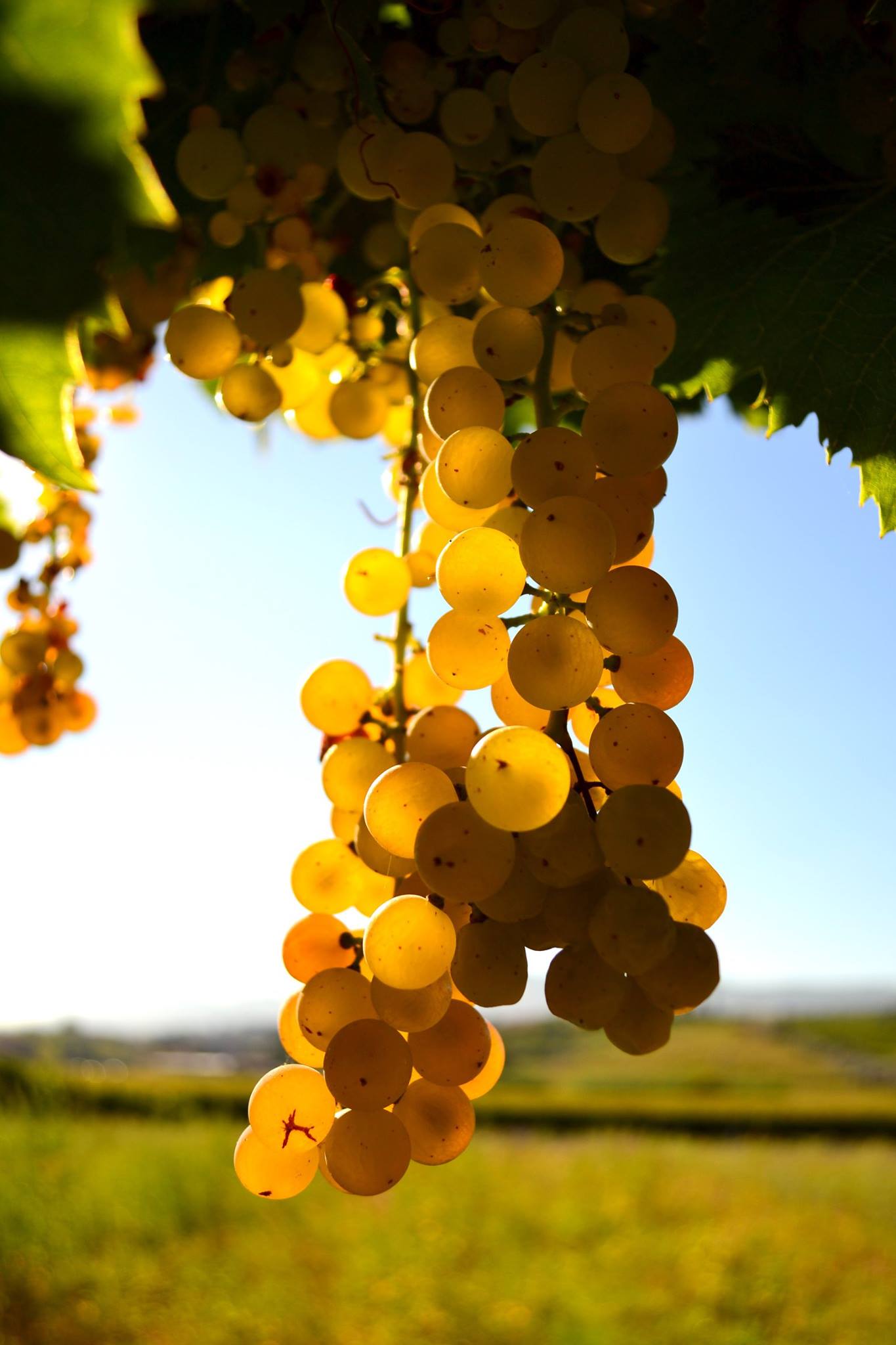 Foto di Daniela Russo Fiorillo