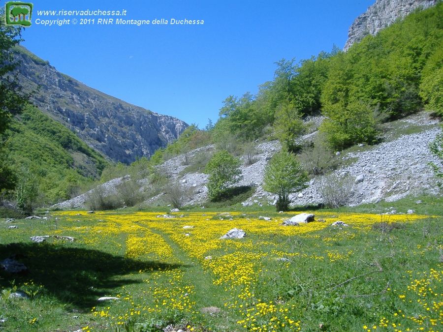 Val di Teve in primavera