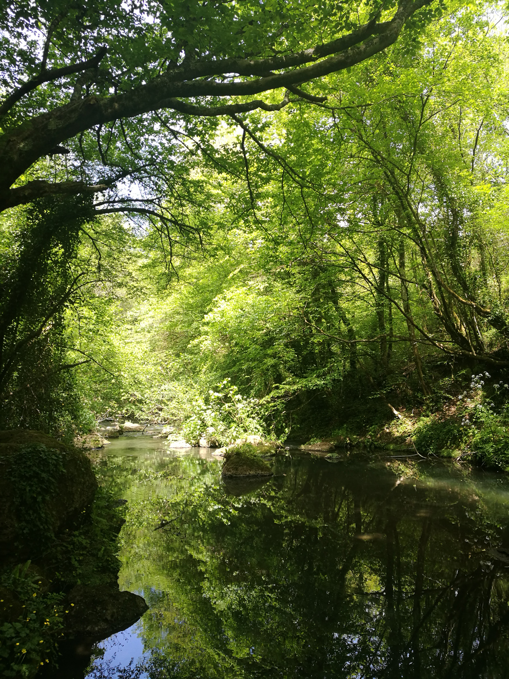 Fiume Treja - foto Four Seasons Natura e Cultura