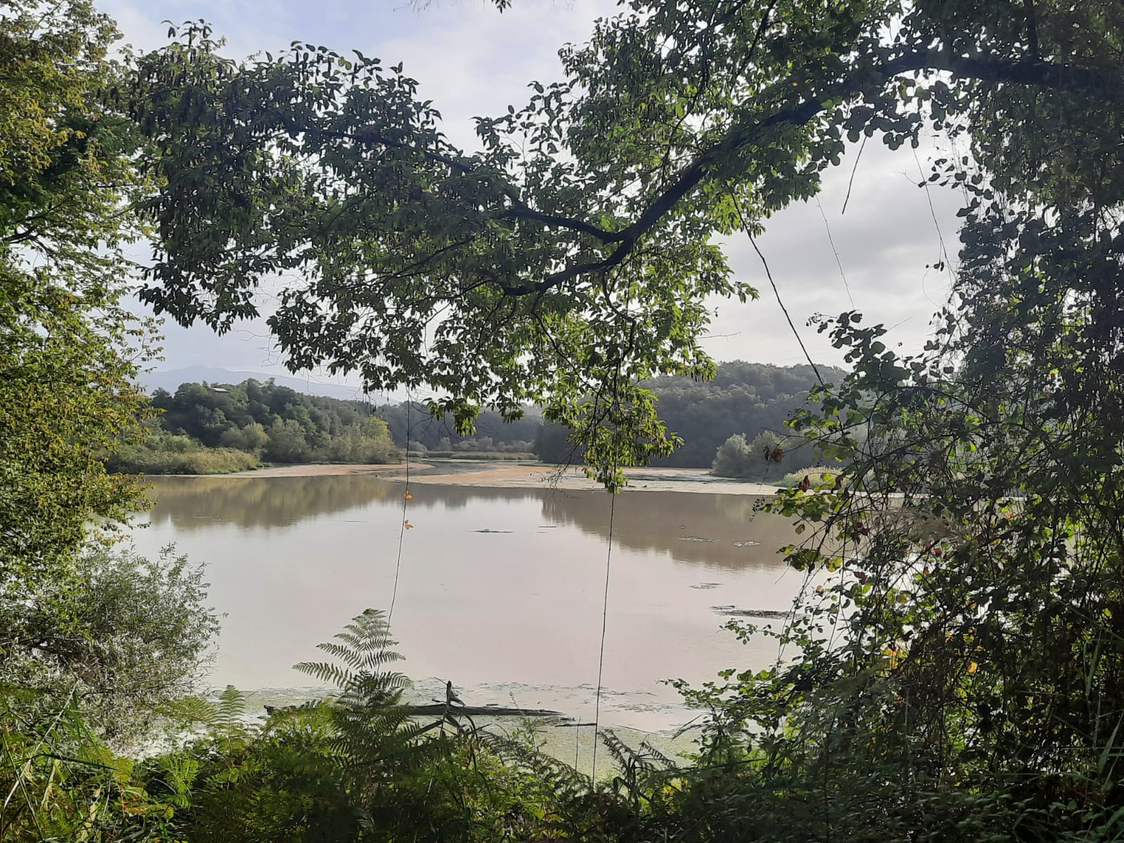 Manuela Capotombolo - verso il sentiero della fornace