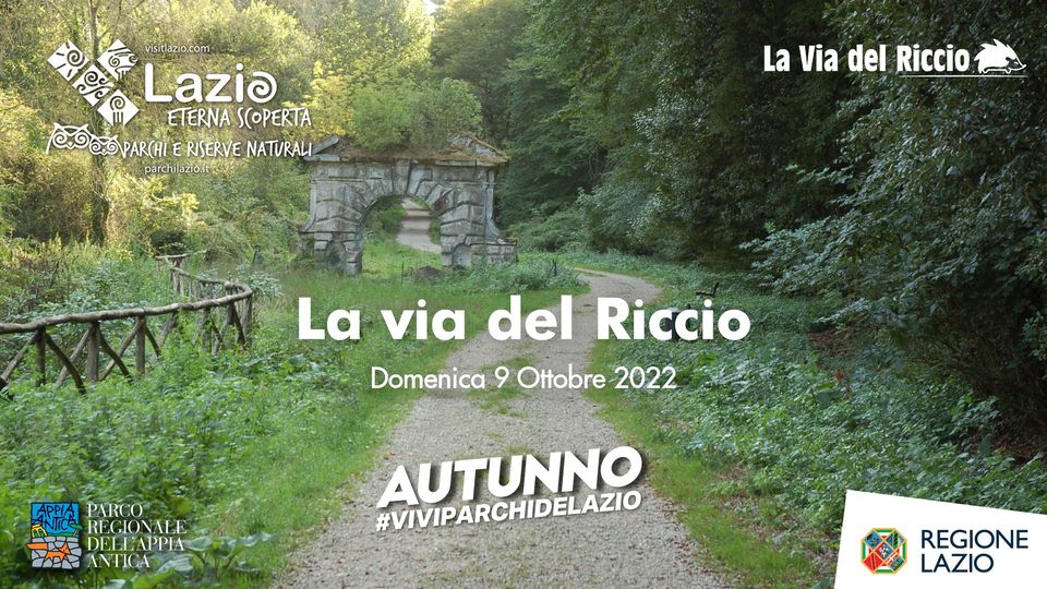 La Via del Riccio La Via del Riccio
