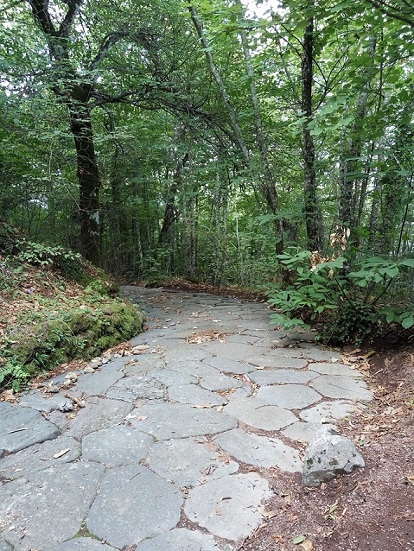 Tabella Tagli boschivi